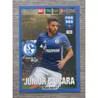 183 Júnior Caiçara Team Mate (Csapata: FC Schalke 04) focis kártya