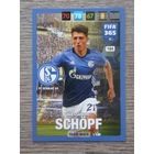 184 Alessandro Schöpf Team Mate (Csapata: FC Schalke 04) focis kártya