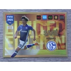 LE-LSA Leroy Sané Limited Edition (Csapata: FC Schalke 04) focis kártya