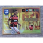 LE-PG Paolo Guerrero Limited Edition (Csapata: Flamengo) focis kártya