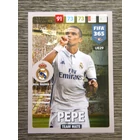 UE29.  Pepe (Real Madrid CF)  -  Team Mate focis kártya