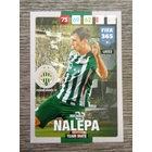 UE53.  Michał Nalepa (Ferencvárosi TC)  -  Team Mate focis kártya