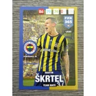 UE85.  Martin Škrtel (Fenerbahçe SK)  -  Team Mate focis kártya