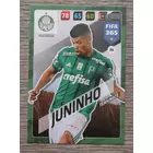 36 Juninho CORE: Team Mate (Palmeiras) focis kártya