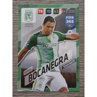 55 Daniel Bocanegra CORE: Team Mate (Atlético Nacional) focis kártya