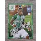61 Arley Rodríguez CORE: Team Mate (Atlético Nacional) focis kártya