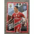 305 Alejandro Grimaldo CORE: Rising Star (SL Benfica) focis kártya