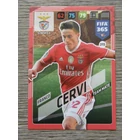 315 Franco Cervi CORE: Team Mate (SL Benfica) focis kártya