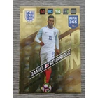 LE-DS Daniel Sturridge Limited Edition (England) focis kártya