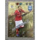 LE-KM Kostas Mitroglou Limited Edition (SL Benfica) focis kártya