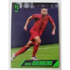 39 Raphaël Guerreiro Base focis kártya (FC Bayern München) TOP CLASS 2025 39 Raphaël Guerreiro Base focis kártya (FC Bayern München) TOP CLASS 2025