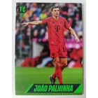 48 Joao Palhinha Base focis kártya (FC Bayern München) TOP CLASS 2025
