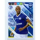 142 Naldo CORE: Team Mate (FC Schalke 04) focis kártya