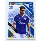 147 Weston McKennie CORE: Rising Star (FC Schalke 04) focis kártya