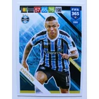295 Everton CORE: Team Mate (Gremio) focis kártya