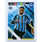 296 André CORE: Team Mate (Gremio) focis kártya