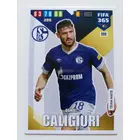 222 Daniel Caligiuri Team Mate focis kártya (FC Schalke 04) FIFA365 2020