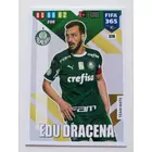 328 Edu Dracena Team Mate focis kártya (Palmeiras) FIFA365 2020