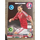 193 Tamás Kádár Team Mate (Magyarország) focis kártya