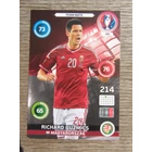 195 Richárd Guzmics Team Mate (Magyarország) focis kártya