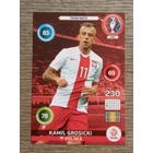 250 Kamil Grosicki Team Mate (Polska) focis kártya