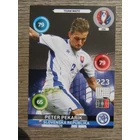 356 Peter Pekarík Team Mate (Slovenská Republika) focis kártya