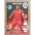 445 Ashley Williams Team Mate (Wales) focis kártya