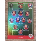 459 Eleven Eleven (Wales) focis kártya 459 Eleven Eleven (Wales) focis kártya