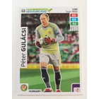 100 Péter Gulácsi Team Mate (Hungary)" RTE2020 focis kártya