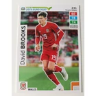 231 David Brooks Team Mate (Wales)" RTE2020 focis kártya